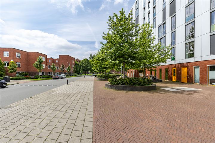 Bekijk foto 31 van Kraanvogelstraat 78