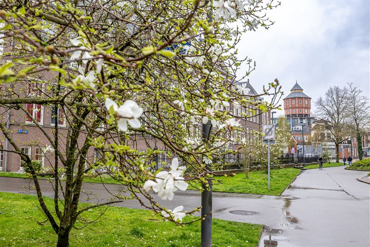 Bekijk foto 3 van Bloemsingel 159