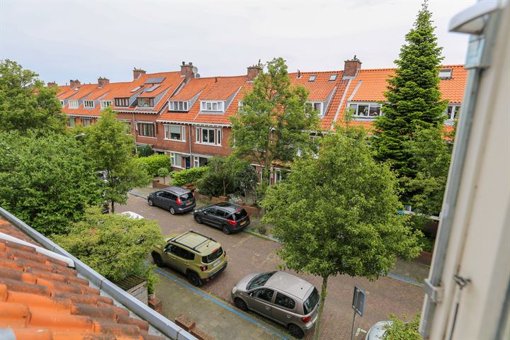 Bekijk foto 18 van van der Palmstraat 15