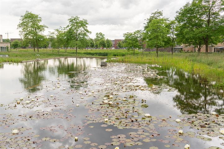 Bekijk foto 25 van Poseidonsingel 58-C