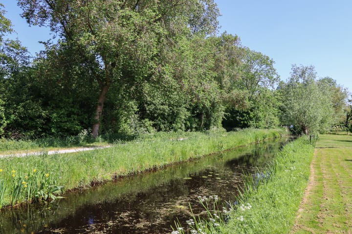 Photo 56 of Doumastate 11