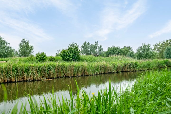 Bekijk foto 43 van Kooikerstraat 23