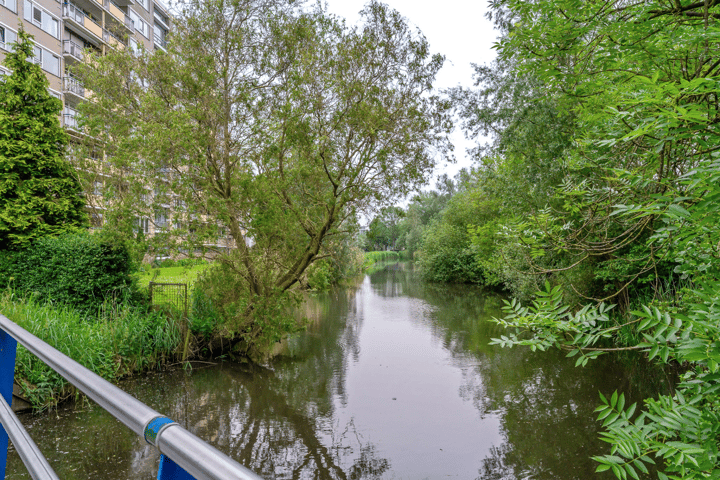 Bekijk foto 4 van Hobokenstraat 511