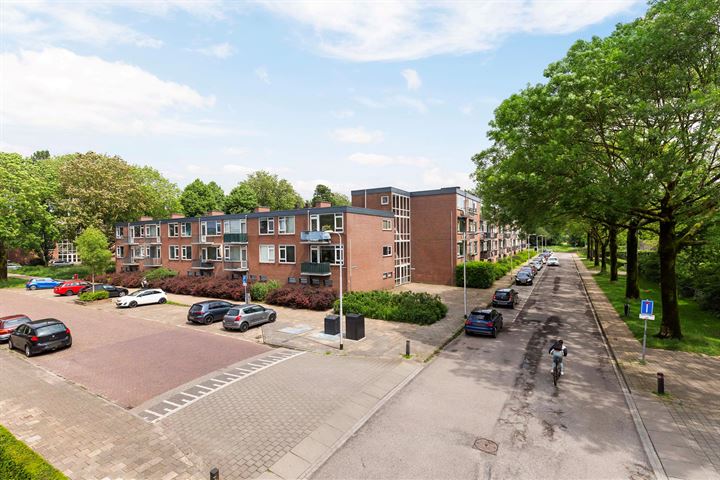 View photo 19 of Paulus Potterstraat 81