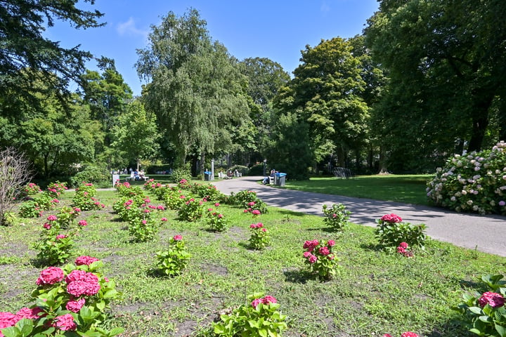 Bekijk foto 41 van Bilderdijkstraat 21