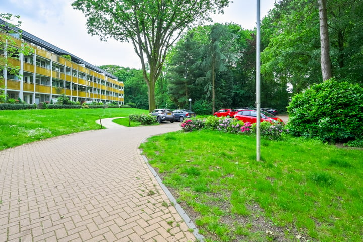 Bekijk foto 14 van Park Boswijk 220