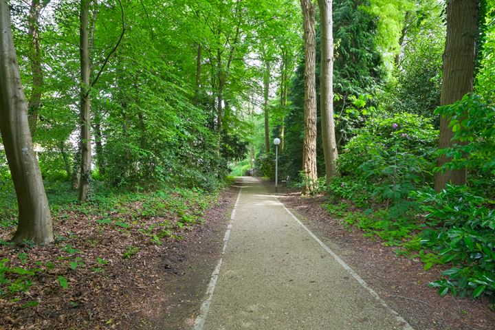 View photo 16 of Park Boswijk 220