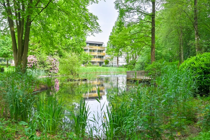 View photo 17 of Park Boswijk 220