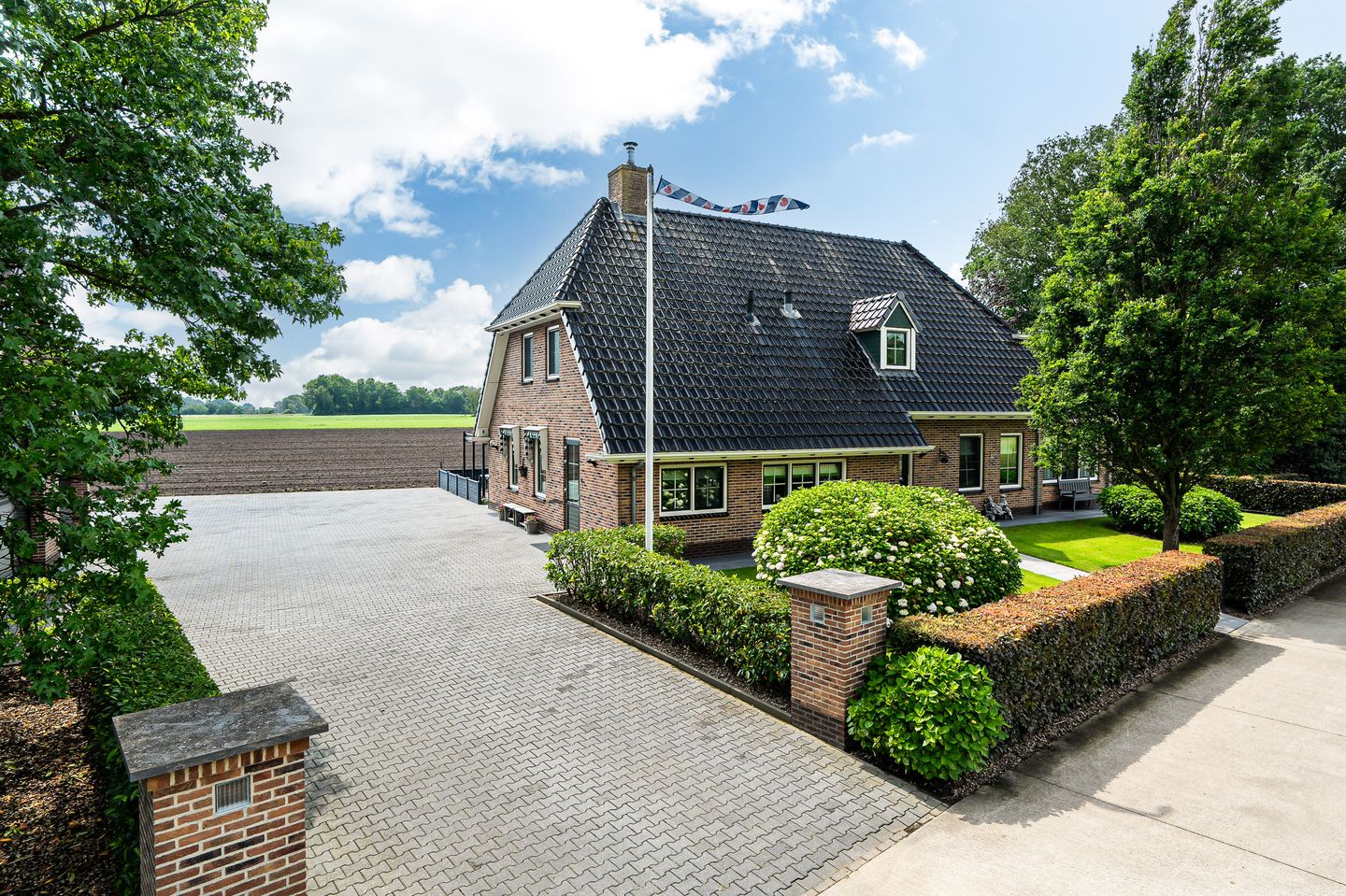 Photo 1 of Star Numanwei 6