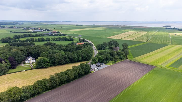 Photo 2 of Star Numanwei 6