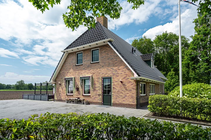 Photo 4 of Star Numanwei 6