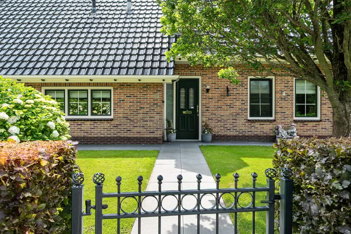 Foto 7 van Star Numanwei 6