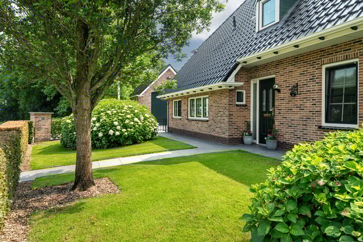 Foto 9 van Star Numanwei 6