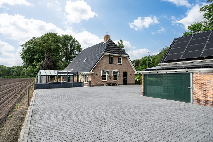 Foto 60 van Star Numanwei 6