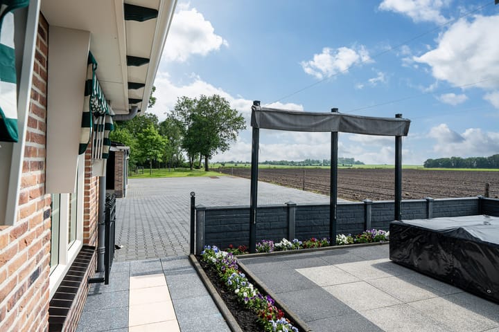 Foto 69 van Star Numanwei 6