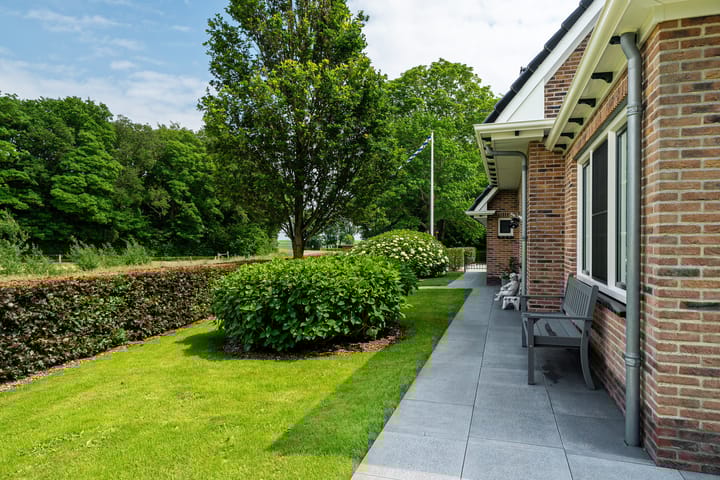 Foto 70 van Star Numanwei 6