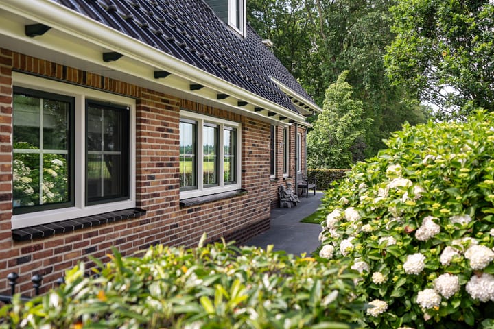 Foto 72 van Star Numanwei 6