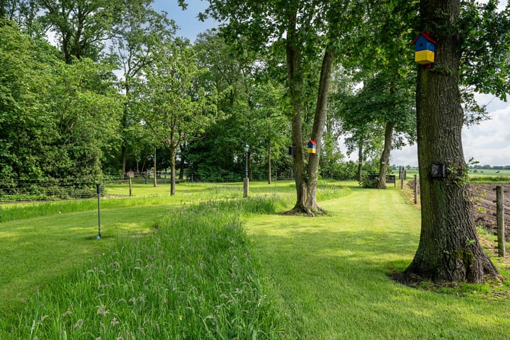 Foto 75 van Star Numanwei 6