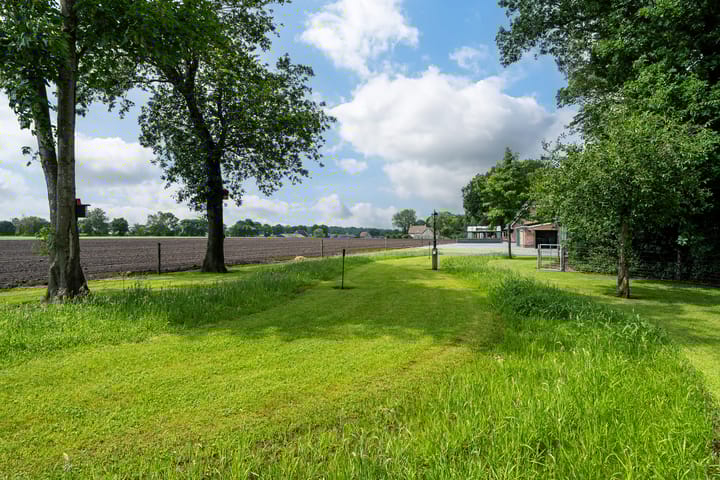 Foto 79 van Star Numanwei 6