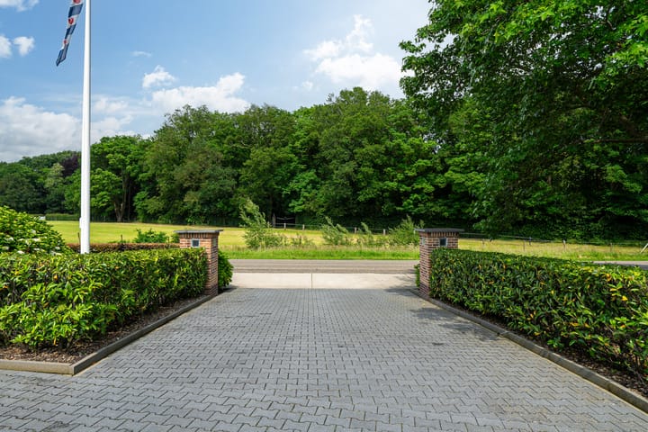 Foto 80 van Star Numanwei 6