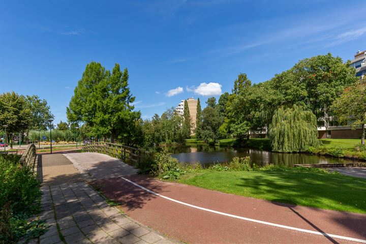 Bekijk foto 36 van Veenbesstraat 336