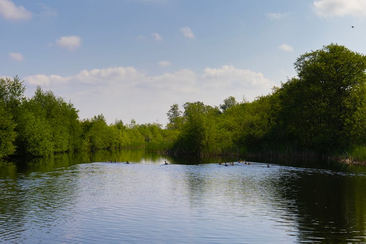 Bekijk foto 67 van Laan van Niftarlake 2