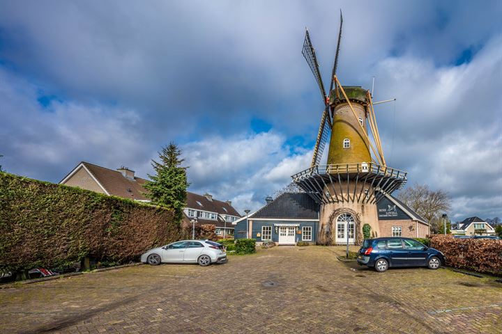 View photo 4 of Korenmolen 1