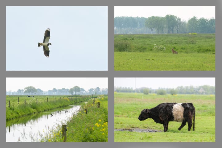 Photo 35 of Graafdijk-west 16