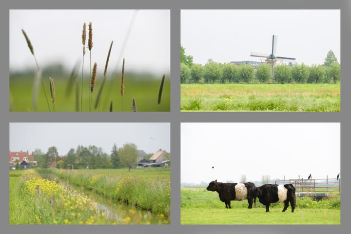 Photo 66 of Graafdijk-west 16