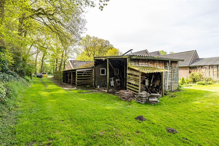 Bekijk foto 43 van Tynaarlosestraat 51