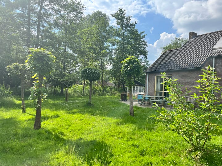 Foto 4 van Groene Heuvels 126