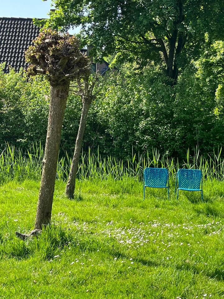 Foto 18 van Groene Heuvels 126