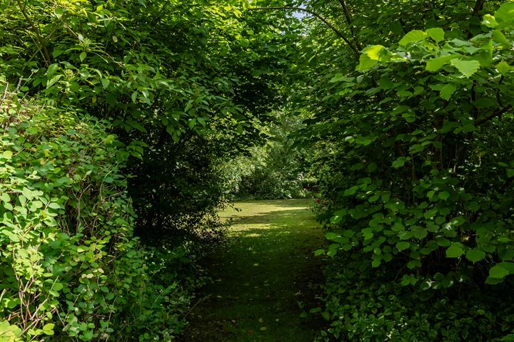 Bekijk foto 83 van Rijksstraatweg 328