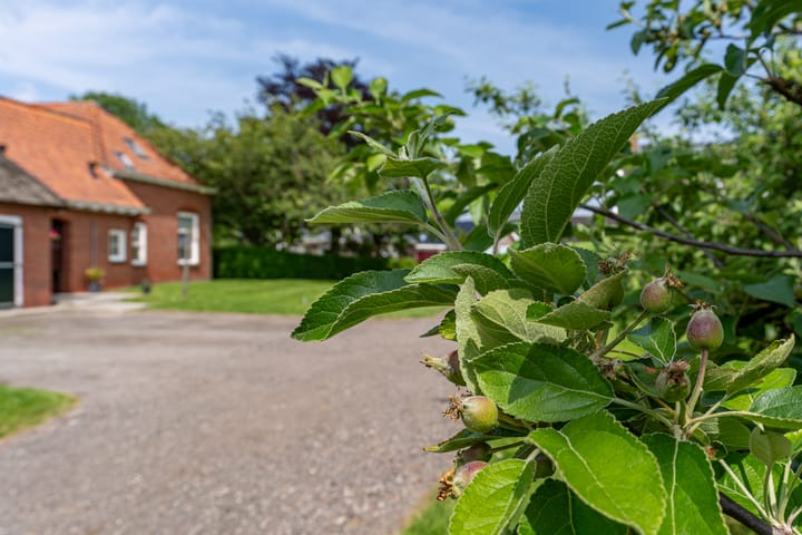 Photo 64 of De Singel 37