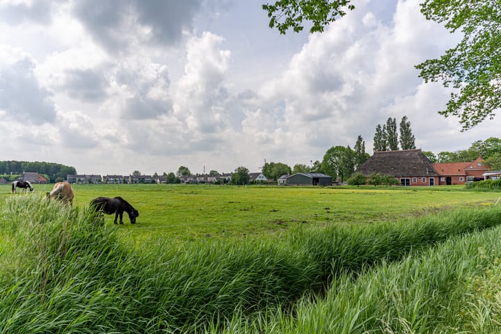 Photo 80 of De Singel 37