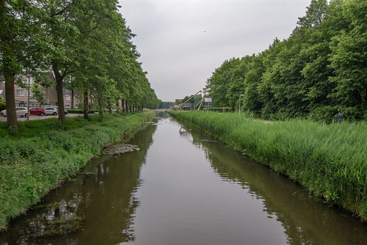 Bekijk foto 27 van Goudenregenzoom 86