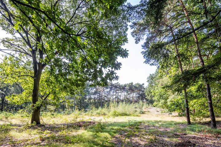 Bekijk foto 1 van Nachtegaallaan bouwkavel 2 -