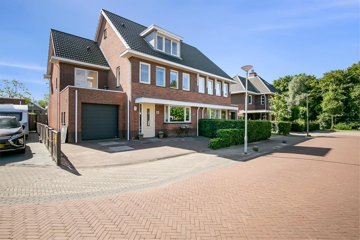 Foto 1 van Aalscholver 13