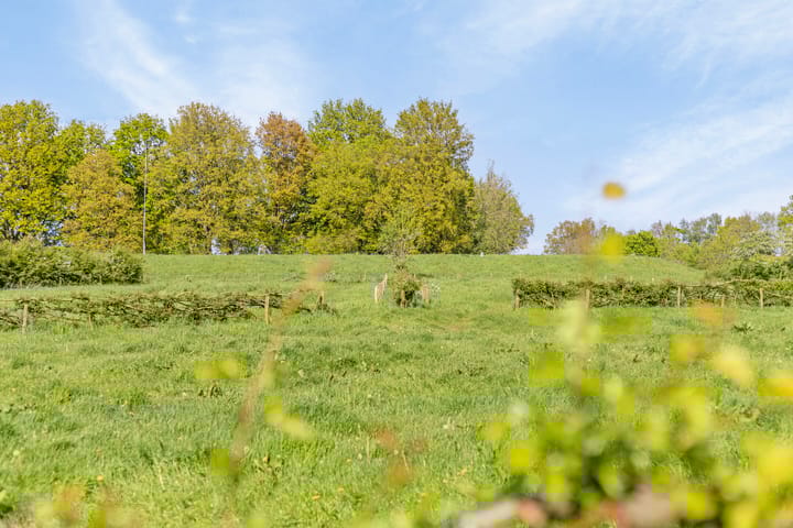 Foto 104 van Broekstraat 1