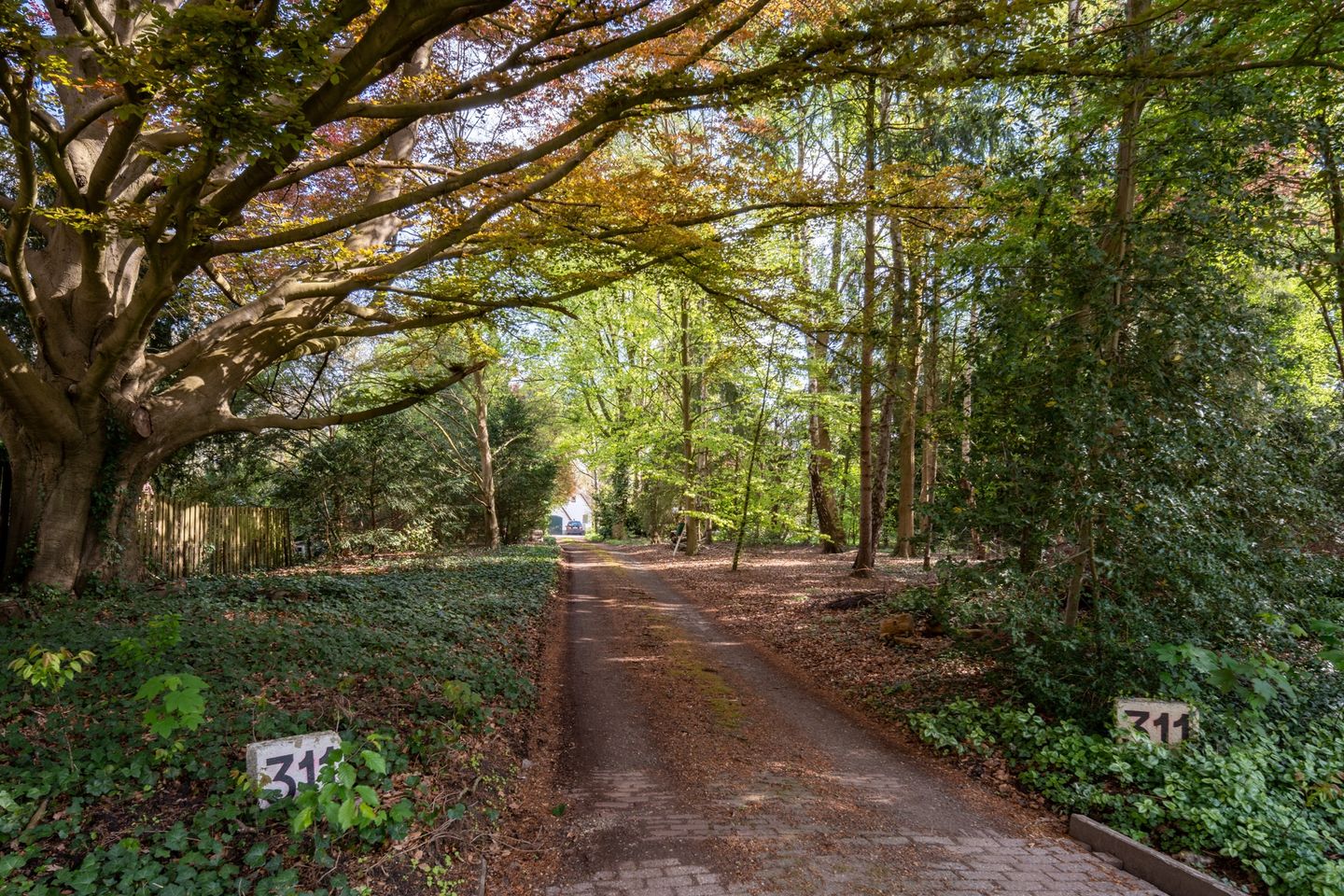 Foto 4 van Enschedesestraat 311