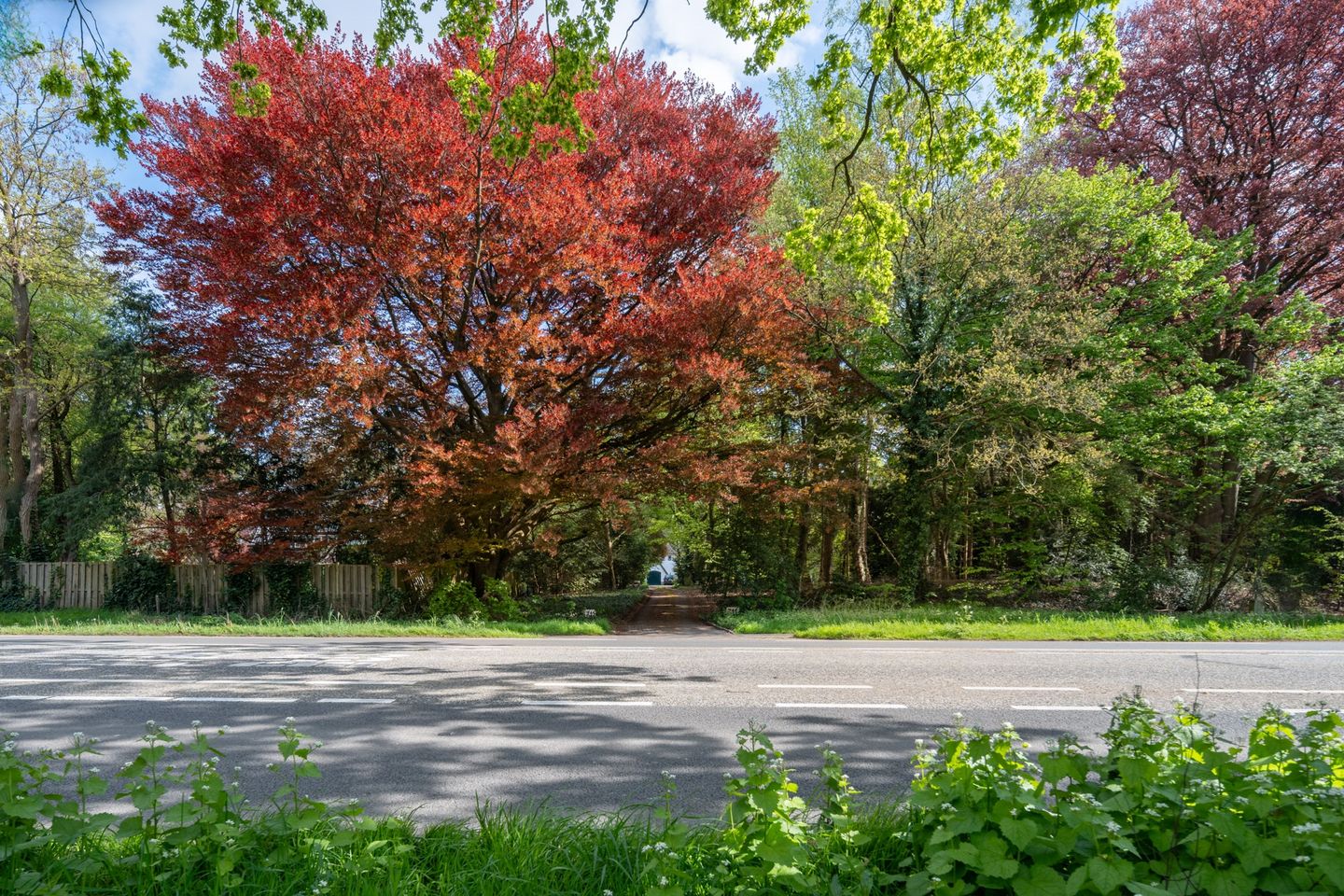 Foto 10 van Enschedesestraat 311