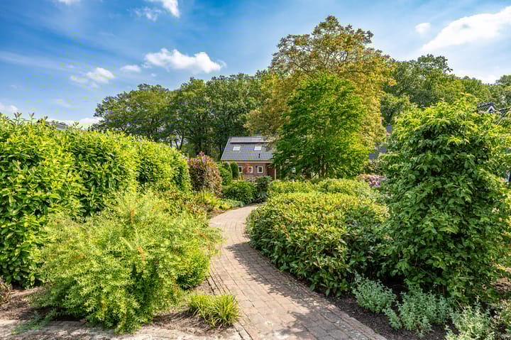 Foto 7 van Westeind 24