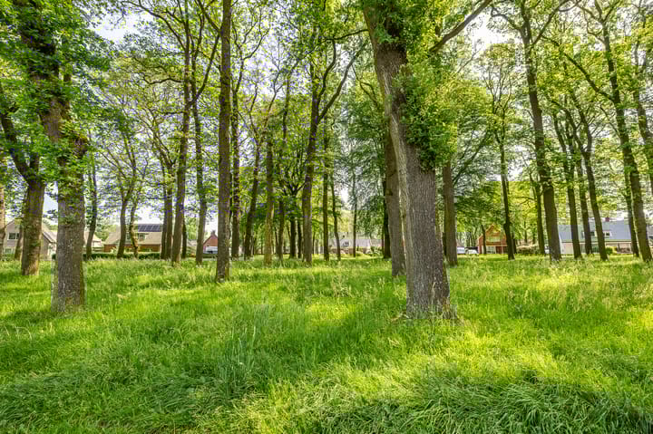 Foto 11 van Westeind 24