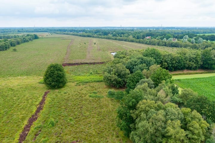 Foto 2 van Vlonder 18