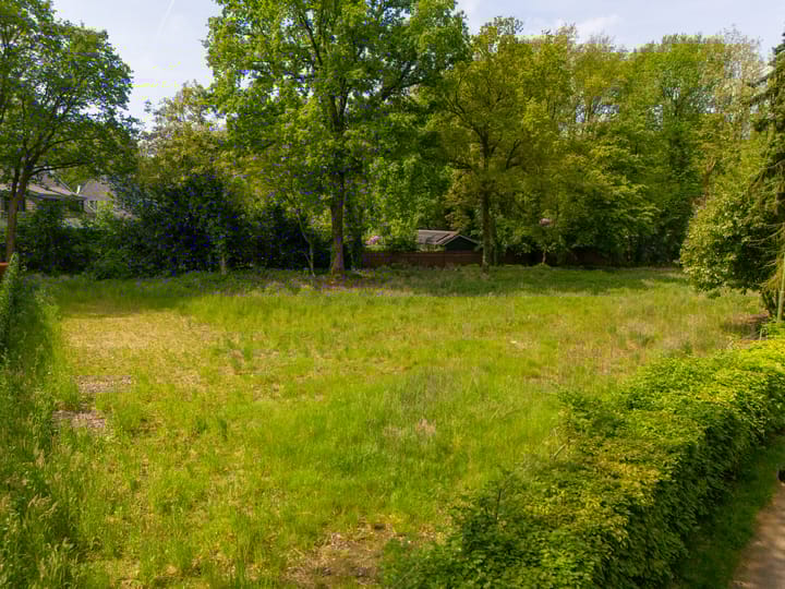 Photo 10 of Westervelden