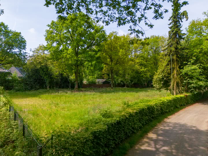 Photo 11 of Westervelden