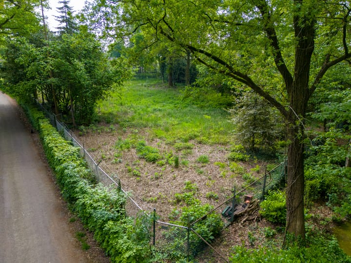 Photo 12 of Westervelden