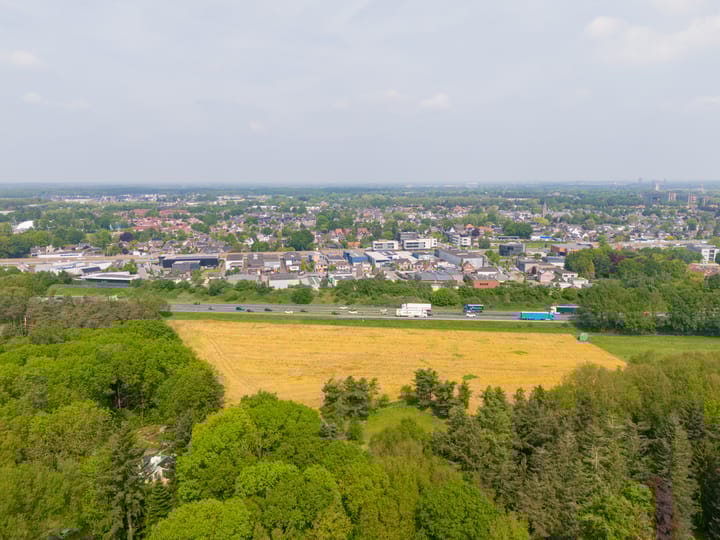 Photo 14 of Westervelden