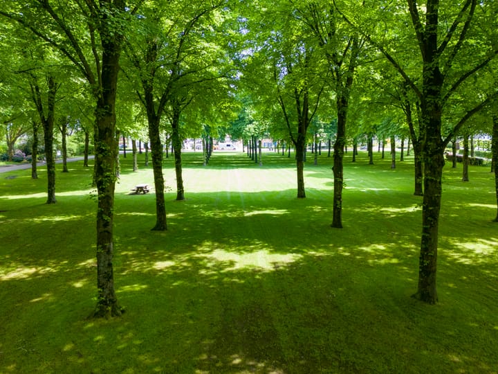 Photo 15 of Westervelden