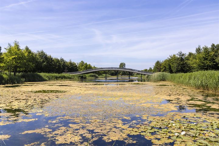 Bekijk foto 43 van Agaatvlindersingel 84